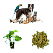 Garden and Pet Cares